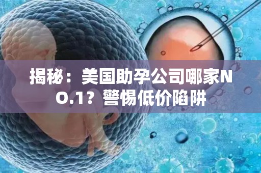 揭秘：美国助孕公司哪家NO.1？警惕低价陷阱