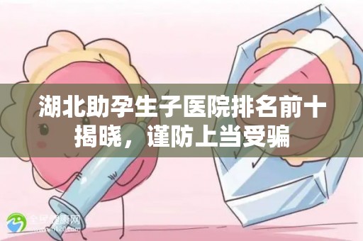 湖北助孕生子医院排名前十揭晓，谨防上当受骗
