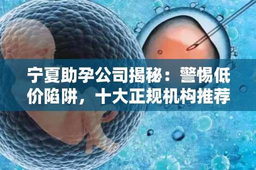 宁夏助孕公司揭秘：警惕低价陷阱，十大正规机构推荐