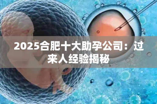 2025合肥十大助孕公司：过来人经验揭秘