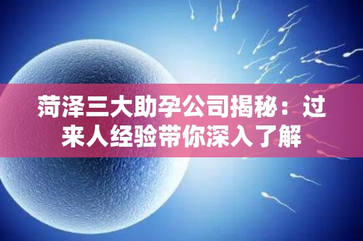 菏泽三大助孕公司揭秘：过来人经验带你深入了解