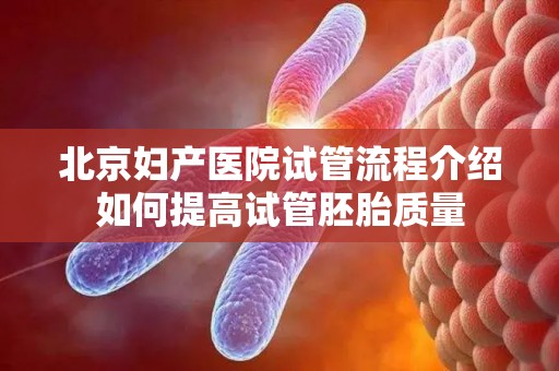 北京妇产医院试管流程介绍如何提高试管胚胎质量