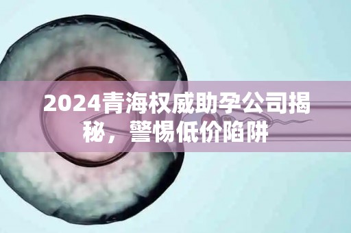 2024青海权威助孕公司揭秘，警惕低价陷阱