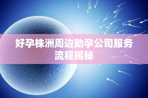 好孕株洲周边助孕公司服务流程揭秘