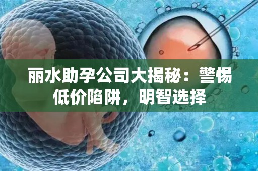 丽水助孕公司大揭秘：警惕低价陷阱，明智选择