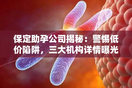 保定助孕公司揭秘：警惕低价陷阱，三大机构详情曝光