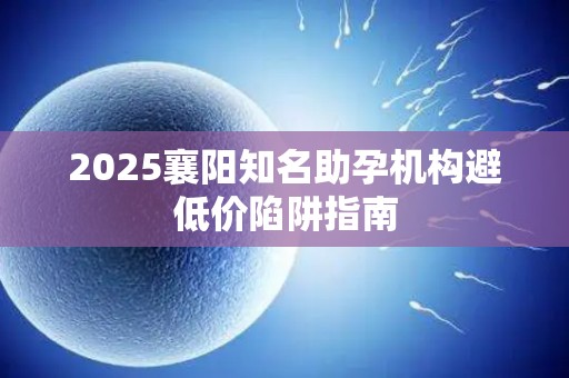 2025襄阳知名助孕机构避低价陷阱指南