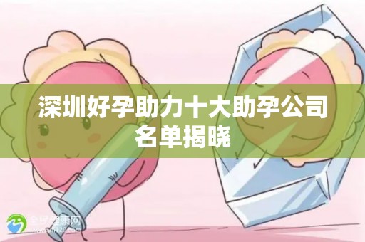 深圳好孕助力十大助孕公司名单揭晓