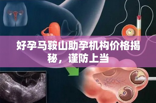 好孕马鞍山助孕机构价格揭秘，谨防上当