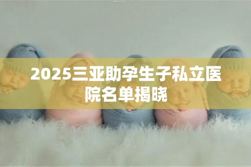 2025三亚助孕生子私立医院名单揭晓