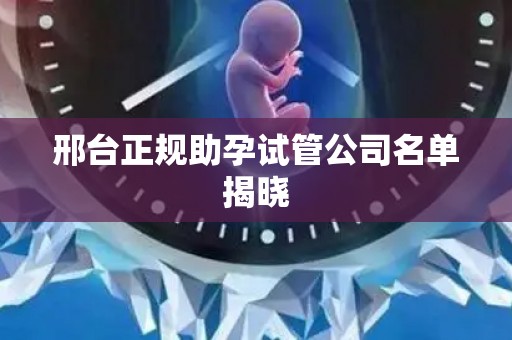 邢台正规助孕试管公司名单揭晓