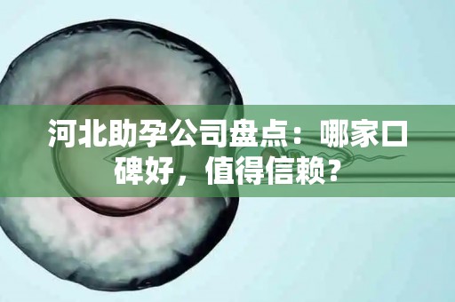 河北助孕公司盘点：哪家口碑好，值得信赖？