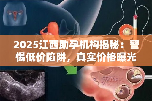 2025江西助孕机构揭秘：警惕低价陷阱，真实价格曝光