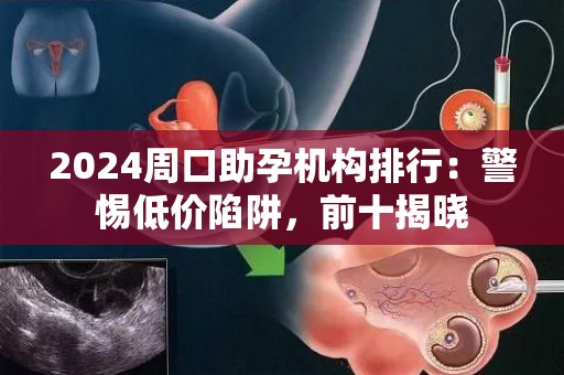 2024周口助孕机构排行：警惕低价陷阱，前十揭晓