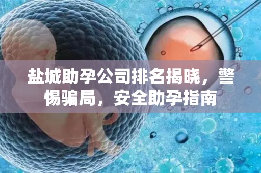 盐城助孕公司排名揭晓，警惕骗局，安全助孕指南