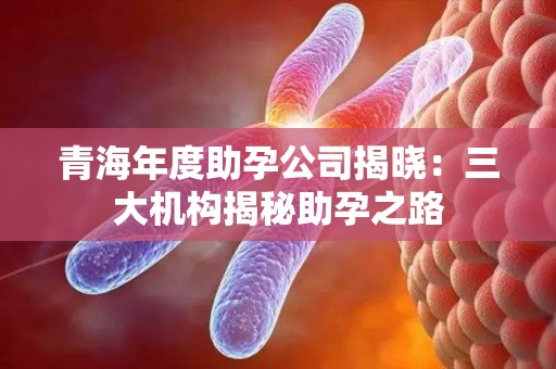 青海年度助孕公司揭晓：三大机构揭秘助孕之路