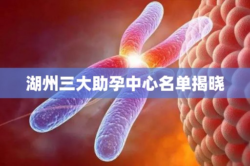 湖州三大助孕中心名单揭晓