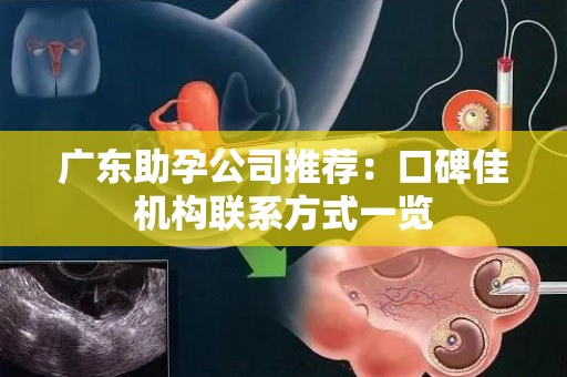 广东助孕公司推荐：口碑佳机构联系方式一览