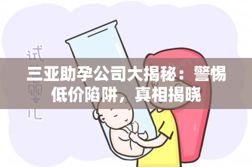 三亚助孕公司大揭秘：警惕低价陷阱，真相揭晓