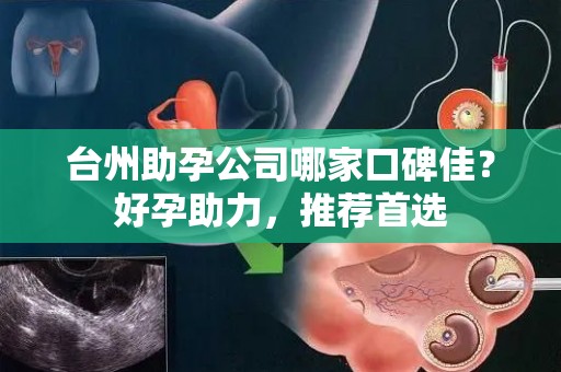 台州助孕公司哪家口碑佳？好孕助力，推荐首选