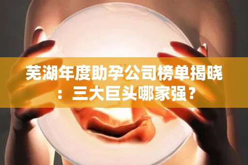 芜湖年度助孕公司榜单揭晓：三大巨头哪家强？
