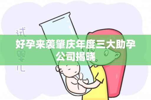 好孕来袭肇庆年度三大助孕公司揭晓