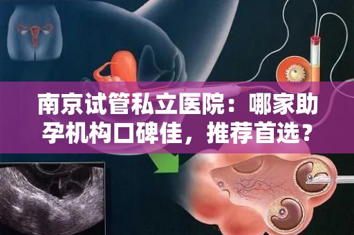 南京试管私立医院：哪家助孕机构口碑佳，推荐首选？