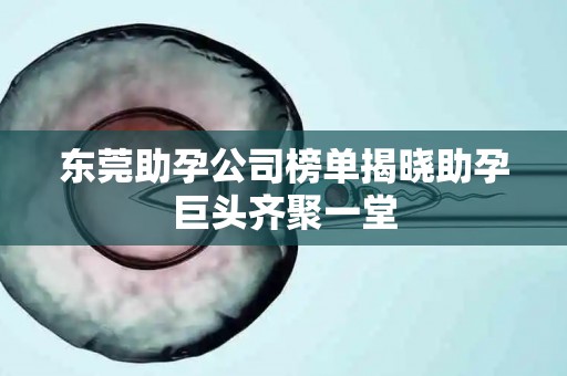 东莞助孕公司榜单揭晓助孕巨头齐聚一堂