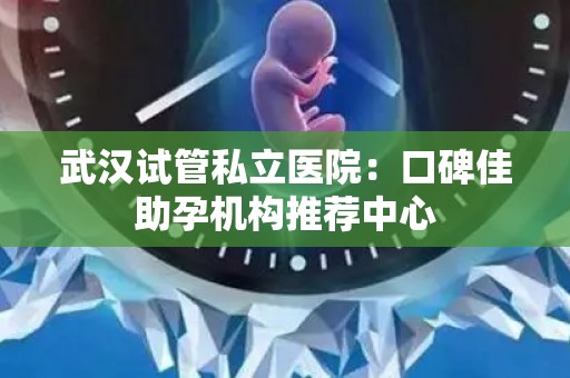 武汉试管私立医院：口碑佳助孕机构推荐中心
