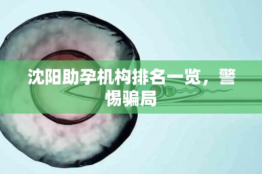 沈阳助孕机构排名一览，警惕骗局