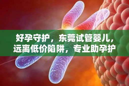 好孕守护，东莞试管婴儿，远离低价陷阱，专业助孕护航
