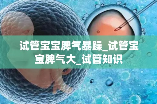 试管宝宝脾气暴躁_试管宝宝脾气大_试管知识