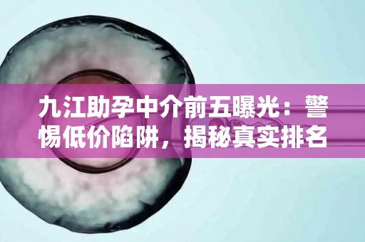 九江助孕中介前五曝光：警惕低价陷阱，揭秘真实排名