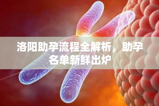 洛阳助孕流程全解析，助孕名单新鲜出炉