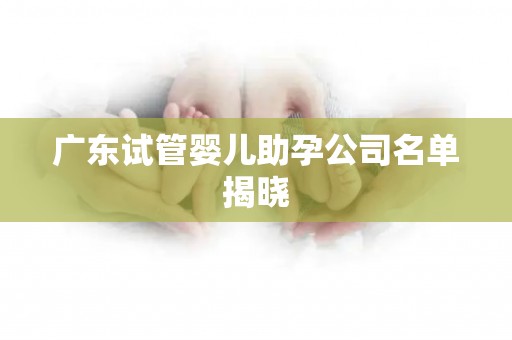 广东试管婴儿助孕公司名单揭晓