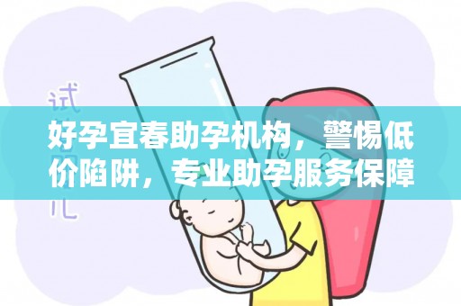 好孕宜春助孕机构，警惕低价陷阱，专业助孕服务保障
