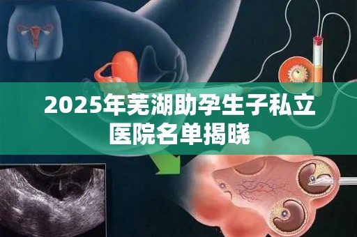 2025年芜湖助孕生子私立医院名单揭晓