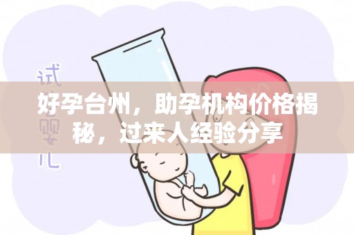 好孕台州，助孕机构价格揭秘，过来人经验分享