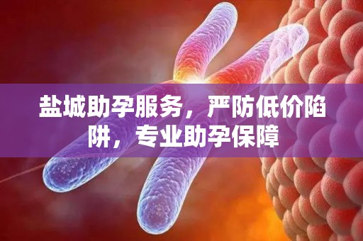 盐城助孕服务，严防低价陷阱，专业助孕保障