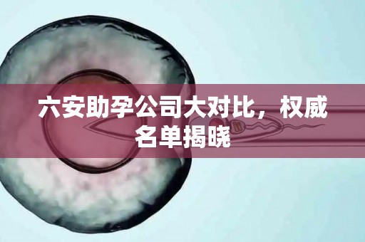 六安助孕公司大对比，权威名单揭晓