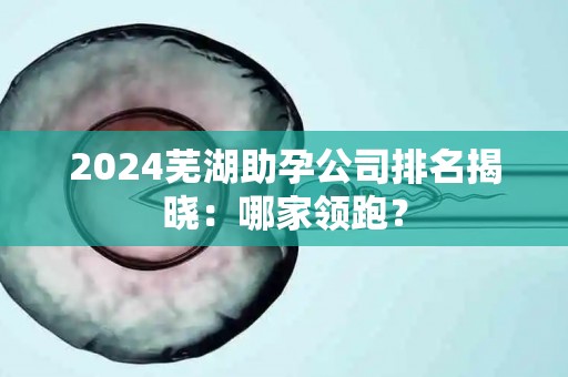 2024芜湖助孕公司排名揭晓：哪家领跑？