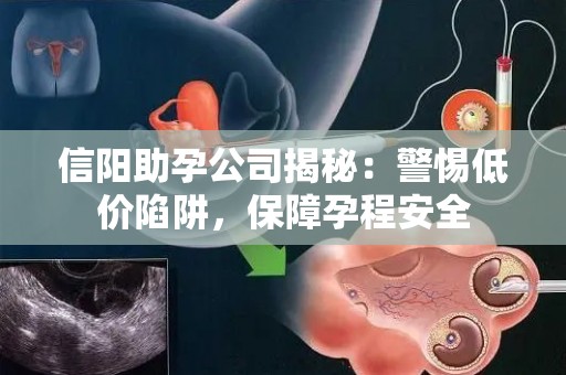 信阳助孕公司揭秘：警惕低价陷阱，保障孕程安全