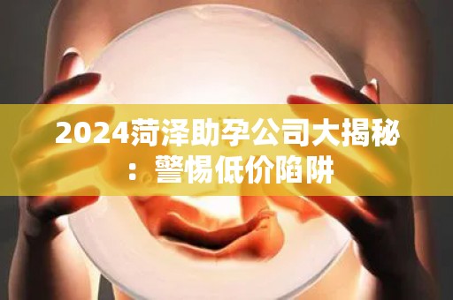 2024菏泽助孕公司大揭秘：警惕低价陷阱