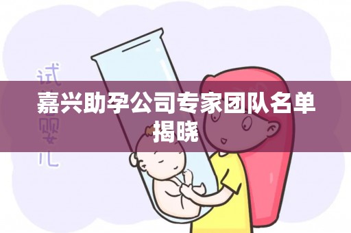 嘉兴助孕公司专家团队名单揭晓