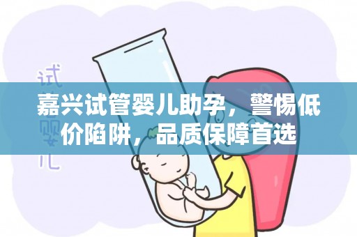 嘉兴试管婴儿助孕，警惕低价陷阱，品质保障首选