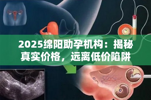 2025绵阳助孕机构：揭秘真实价格，远离低价陷阱