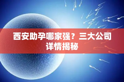西安助孕哪家强？三大公司详情揭秘