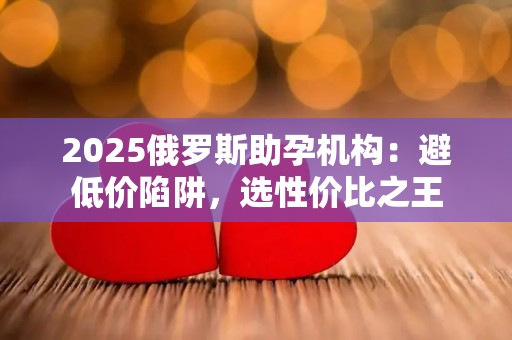 2025俄罗斯助孕机构：避低价陷阱，选性价比之王