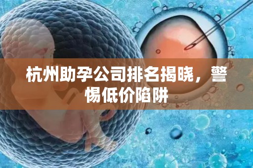 杭州助孕公司排名揭晓，警惕低价陷阱