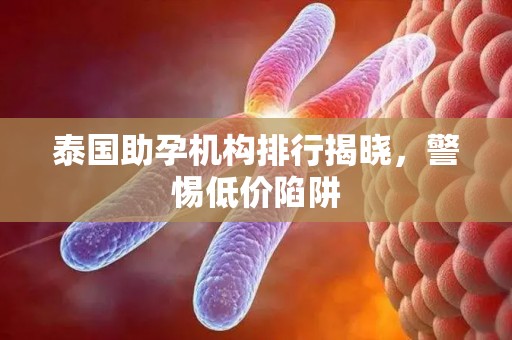 泰国助孕机构排行揭晓，警惕低价陷阱